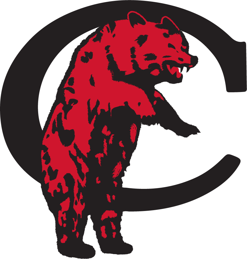 Cincinnati Bearcats 1922 Primary Logo diy iron on heat transfer